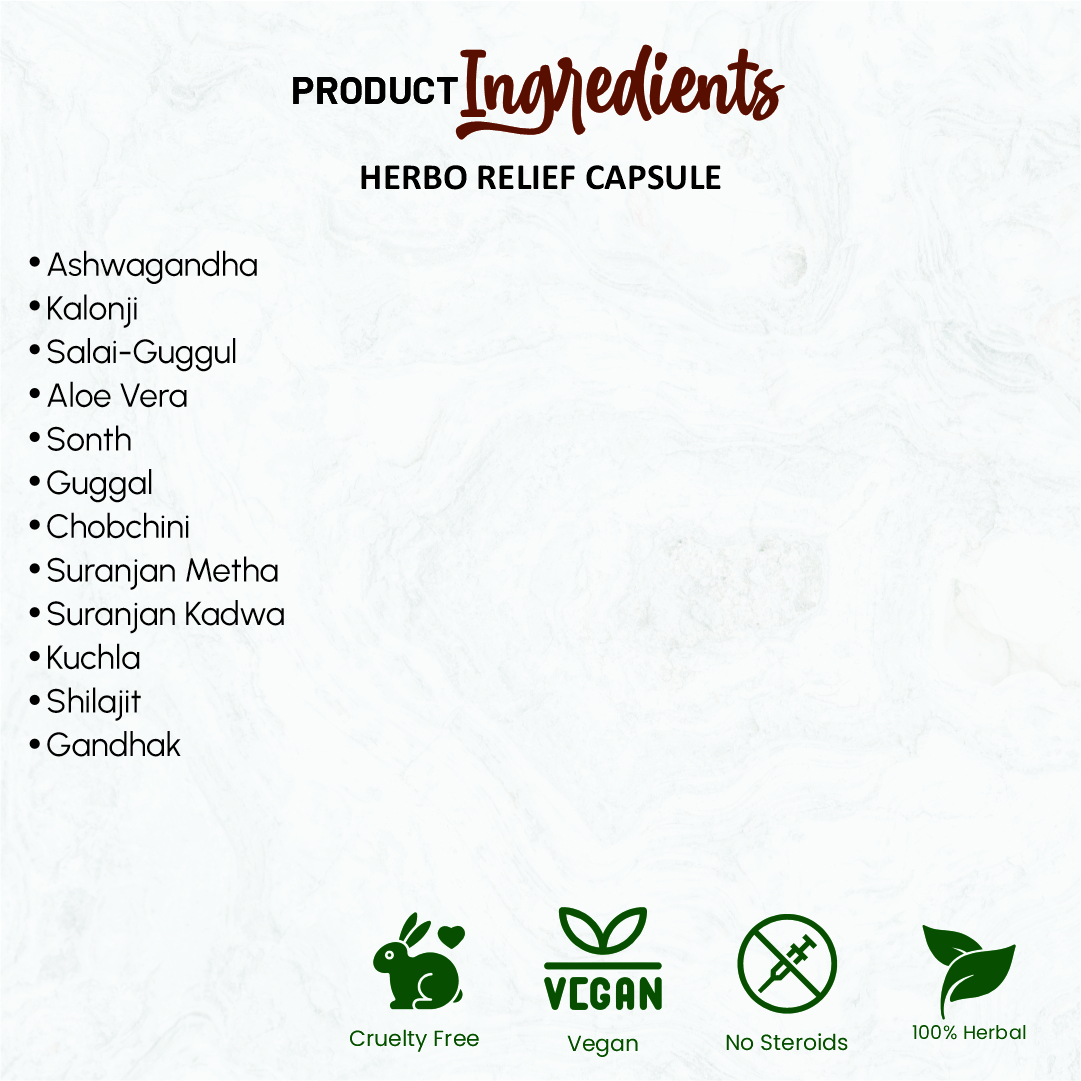 Herbo Relief | 60 Vegan Capsules - Image 2